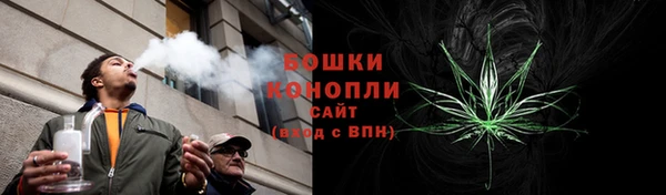 эйфоретик Новозыбков