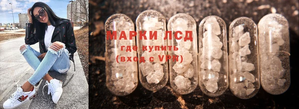 эйфоретик Новозыбков