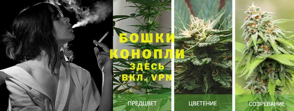 MESCALINE Новодвинск