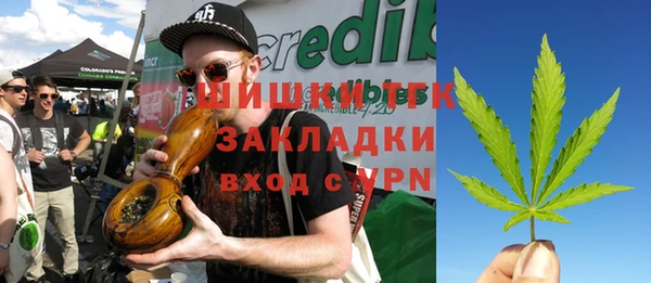 МДПВ Богородицк