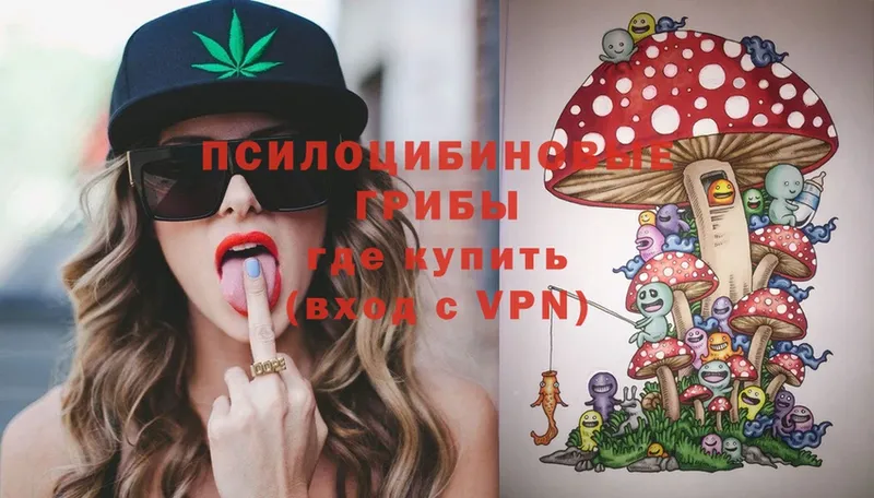 закладки  Кудымкар  Псилоцибиновые грибы MAGIC MUSHROOMS 