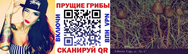 Псилоцибиновые грибы Psilocybine cubensis  Кудымкар 
