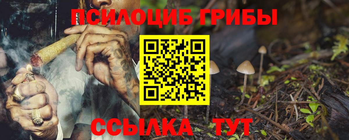 Псилоцибиновые грибы ЛСД  Псилоцибиновые грибы MAGIC MUSHROOMS  Кудымкар 